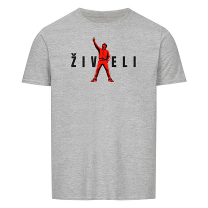 Image for color: sport grey