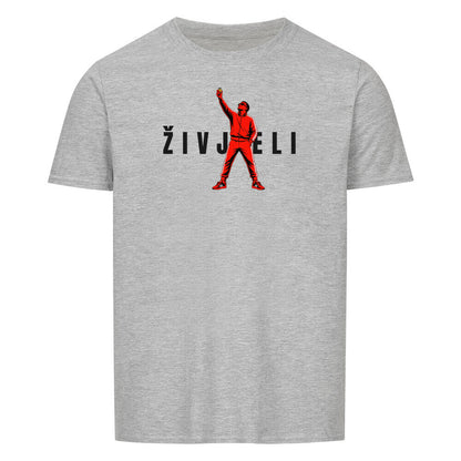 Image for color: sport grey
